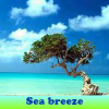 Sea breeze 5 Differences Games to Play Free