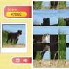 Play free Row Puzzle – Dog game