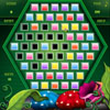 Play free Checker Craze game
