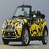 Patterned black car puzzle