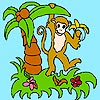 Monkey in the jungle coloring Games to Play Free