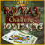 Royal Challenge Solitaire
