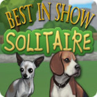 Best in Show Solitaire Games to Play Free