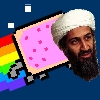 Nyan Bin Laden Games to Play Free
